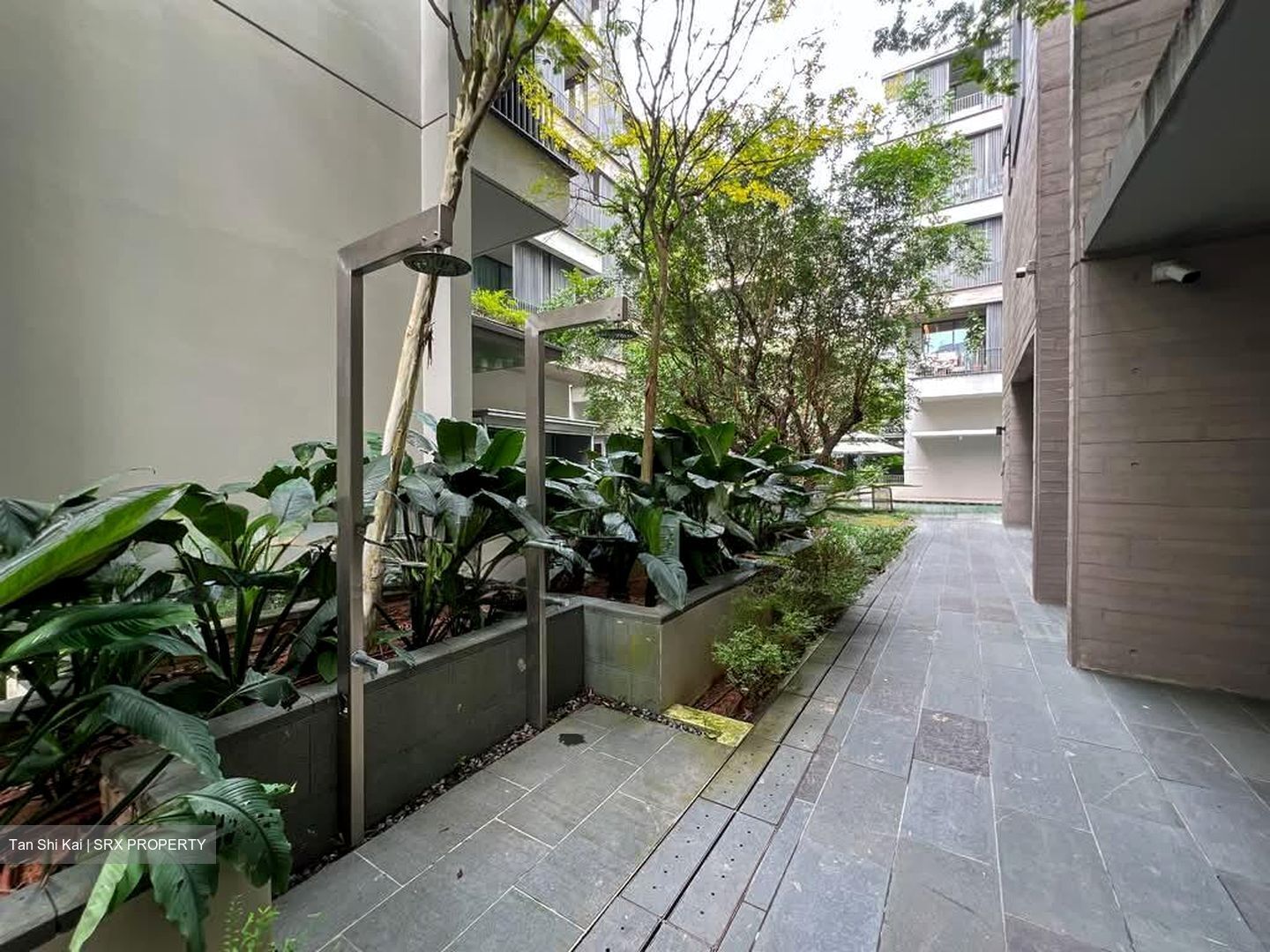 10 Evelyn (D11), Apartment #533228071